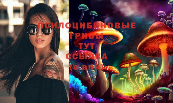 шишки Козельск
