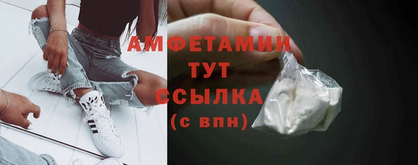 шишки Козельск