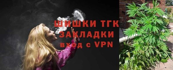 шишки Козельск